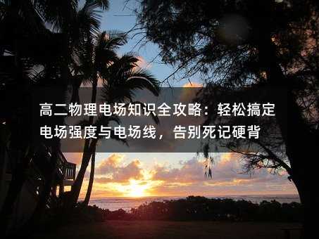 高二物理電場知識全攻略:輕松搞定電場強度與電場線,告別死記硬背