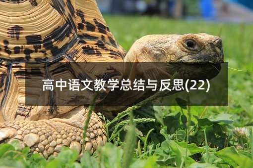 高中語文教學總結與反思(22)