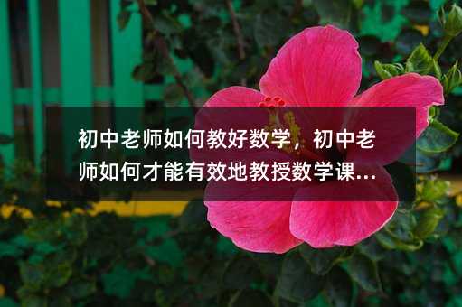 初中老師如何教好數學,初中老師如何才能有效地教授數學課程?