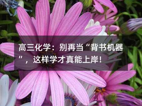 �������W(xu��)���e�ٮ�(d��ng)�������C(j��)�������@�ӌW(xu��)�������ϰ���