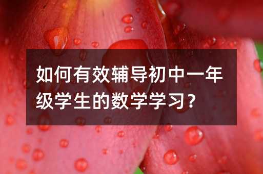 如何有效輔導(dǎo)初中一年級學(xué)生的數(shù)學(xué)學(xué)習(xí)?