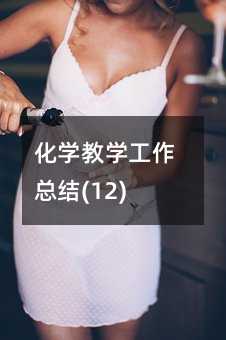 化學(xué)教學(xué)工作總結(jié)(12)
