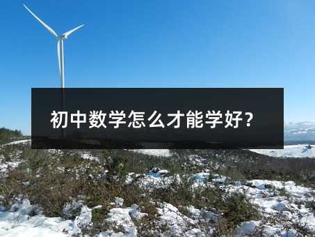 初中數學怎么才能學好?