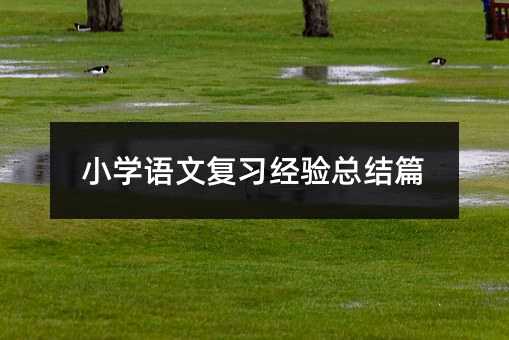 小學語文復習經驗總結篇
