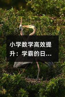 小學數學高效提升:學霸的日常習慣與思維躍遷實戰指南