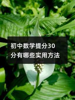 初中數(shù)學提分30分有哪些實用方法?
