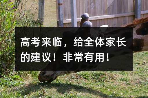 �߿����R���oȫ�w���L�Ľ��h���ǳ����ã�