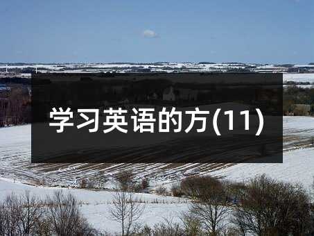 學(xué)習(xí)英語的方(11)