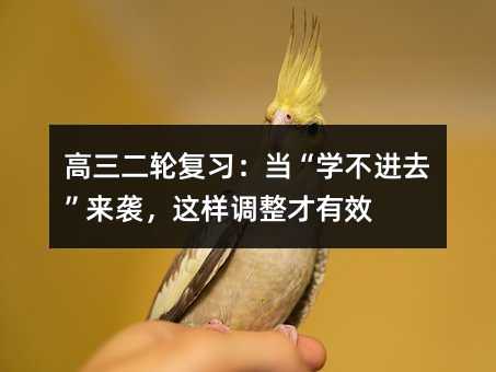 高三二輪復習:當“學不進去”來襲,這樣調整才有效
