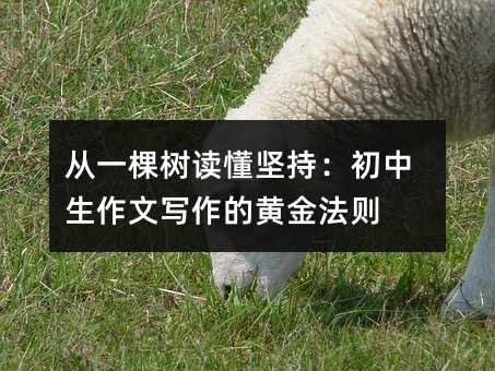 從一棵樹讀懂堅持:初中生作文寫作的黃金法則