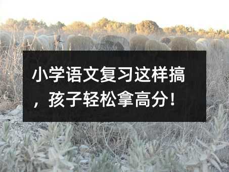 小學語文復習這樣搞,孩子輕松拿高分!