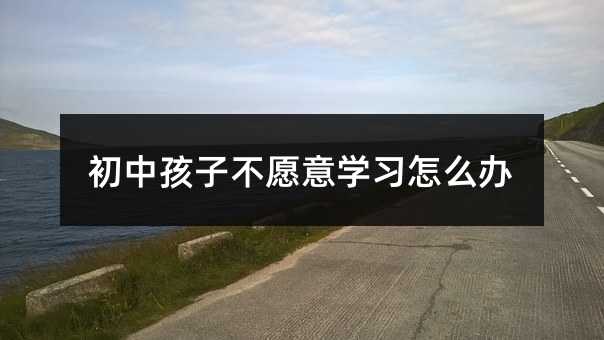初中孩子不愿意學習怎么辦