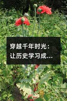 穿越千年時光:讓歷史學習成為孩子成長的催化劑