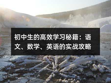 �������ĸ�Ч�W���ؼ����Z������(sh��)�W��Ӣ�Z�Č���(zh��n)����