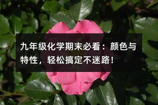 九年級化學期末必看:顏色與特性,輕松搞定不迷路!