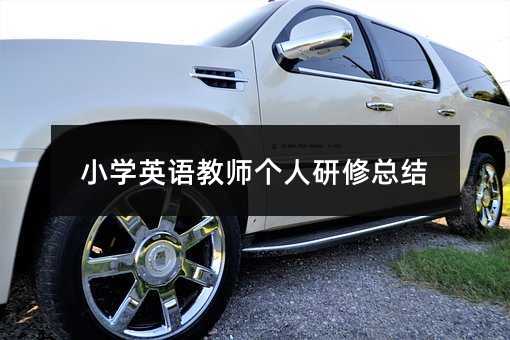 小學(xué)英語(yǔ)教師個(gè)人研修總結(jié)