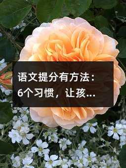 �Z������з�����6�����T��׌���ӏġ����Z�ġ��������Z�ġ�