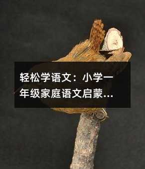 輕松學(xué)語(yǔ)文:小學(xué)一年級(jí)家庭語(yǔ)文啟蒙的實(shí)用指南