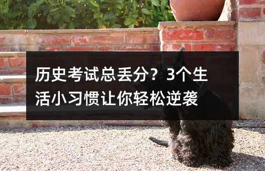 �vʷ��ԇ���G����3������С���T׌���p�����u