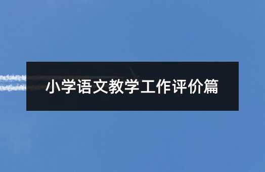 小學語文教學工作評價篇
