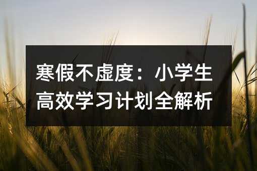 寒假不虛度:小學生高效學習計劃全解析