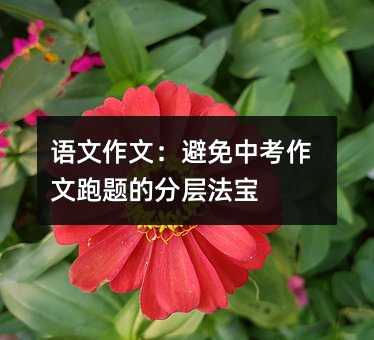 語文作文:避免中考作文跑題的分層法寶