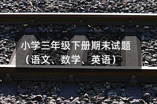 С�W���꼉����ĩԇ�}���Z�ġ����W��Ӣ�Z��