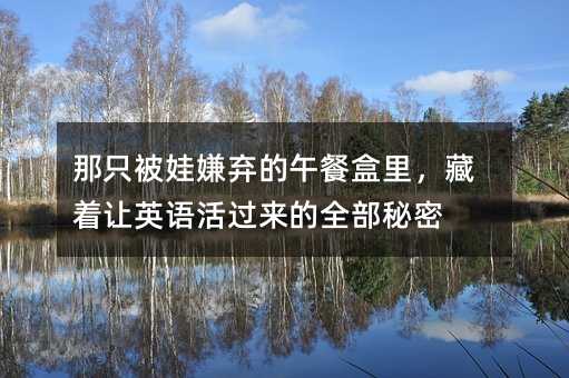 那只被娃嫌棄的午餐盒里,藏著讓英語活過來的全部秘密