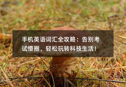 手機(jī)英語(yǔ)詞匯全攻略:告別考試懵圈,輕松玩轉(zhuǎn)科技生活!