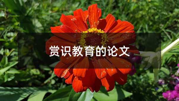 賞識教育的論文