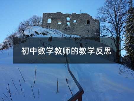 初中數學教師的教學反思