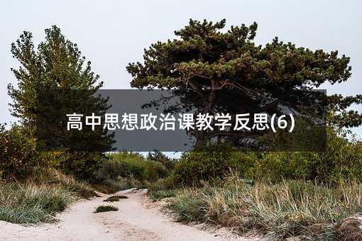 高中思想政治課教學(xué)反思(6)