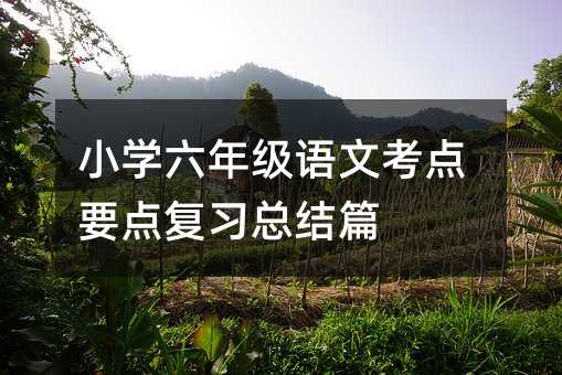 小學六年級語文考點要點復習總結(jié)篇