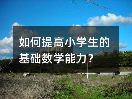 如何提高小學生的基礎數學能力?
