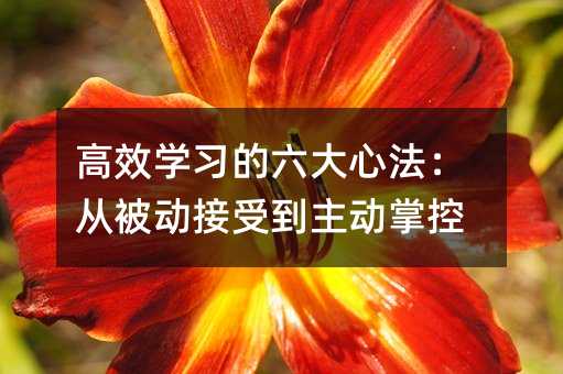 高效學習的六大心法:從被動接受到主動掌控