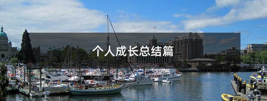 個人成長總結篇