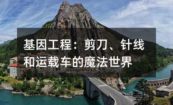 基因工程:剪刀、針線和運(yùn)載車的魔法世界