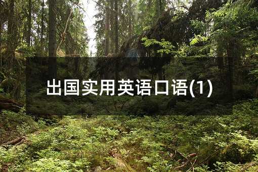 出國實用英語口語(1)