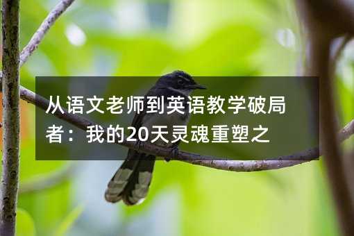 從語(yǔ)文老師到英語(yǔ)教學(xué)破局者:我的20天靈魂重塑之旅