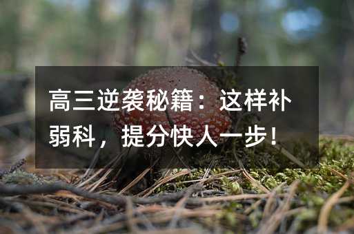 高三逆襲秘籍:這樣補弱科,提分快人一步!