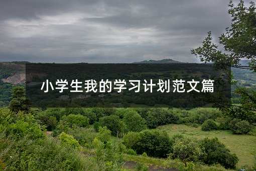 小學生我的學習計劃范文篇