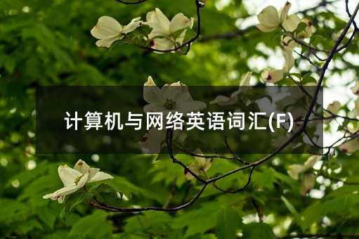 計算機與網絡英語詞匯(F)