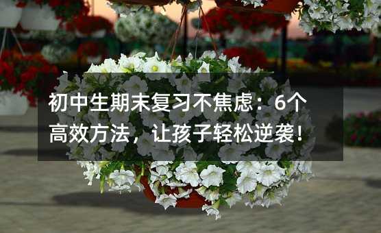 ��������ĩ���������]��6����Ч������׌�����p�����u��