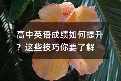 ����Ӣ�Z�ɿ�?n��i)���������@Щ������Ҫ�˽�