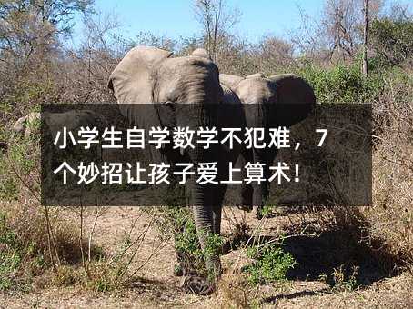 С�W���ԌW���W�����y��7������׌���Ӑ������g��