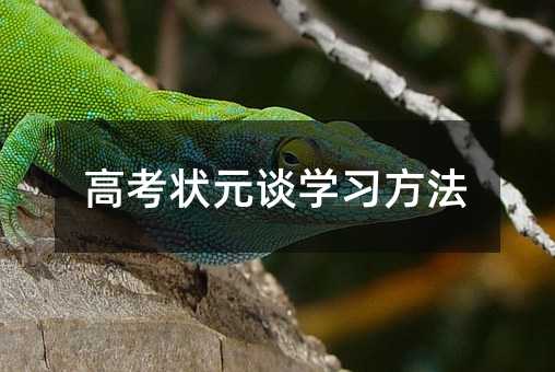 �߿���ԪՄ�W������