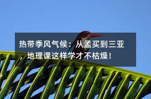 �Ꭷ���L��򣺏����I�������������n�@�ӌW�Ų�������