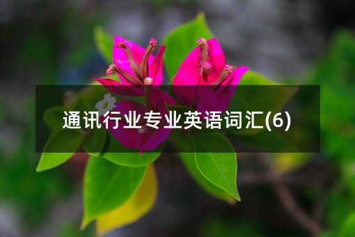 ͨӍ�ИI(y��)���I(y��)Ӣ�Z(y��)�~�R(6)