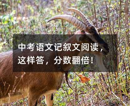 �п��Z��ӛ������x���@�Ӵ𣬷֔�������