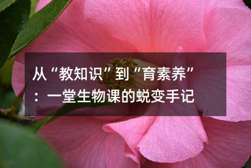 �ġ���֪�R�����������B����һ�������n��͑׃��ӛ